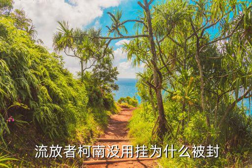 流放者柯南主播,黑曜石塊可通過召喚南壇獲得流放湖南npc...